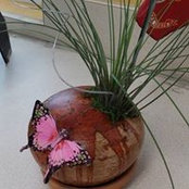 Nancy Cardenales's photo