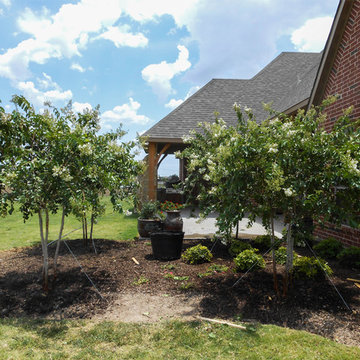 Natchez Crape Myrtles