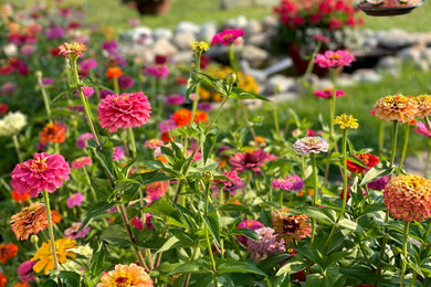 Inspiration for a shabby-chic style landscaping in Denver.