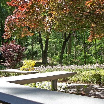 Contemporary Entrance Garden