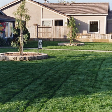 Residential Landscape in Merced