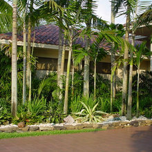 Plants
