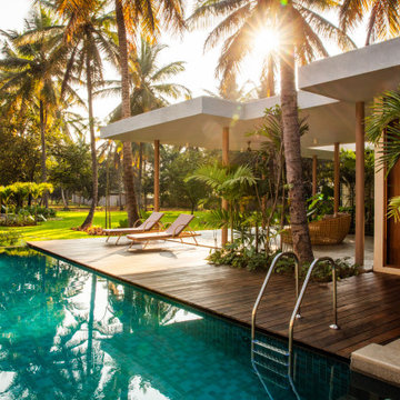 The one amongst the trees