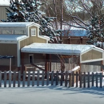 Chicken Coop