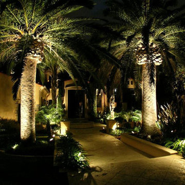 Custom Outdoor Landscape Design