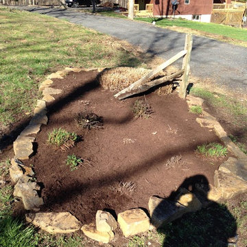 Spring Clean-up