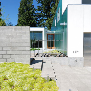 Zig Zag House