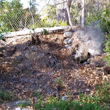 BEFORE: Backyard, North Property Line