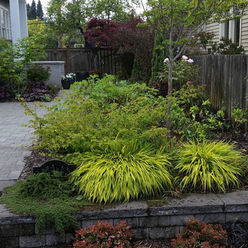 A garden for all seasons