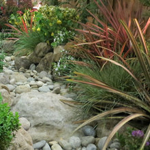 Mary Pat's ideas