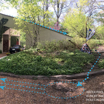 Rain Garden