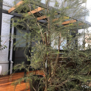 House_Shinyokohama_Garden
