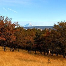 Mosier/Rowena Wilds project