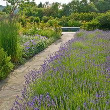 North facing garden