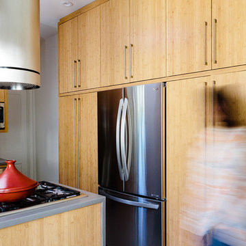 Brookline Kitchen Renovation
