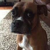Carrie Vogt's photo