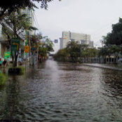 T chanthanawans foto