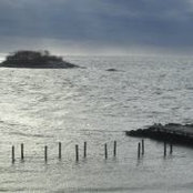 Sandra Donato's photo