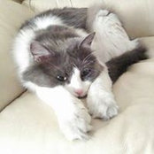 Mara Gore's photo