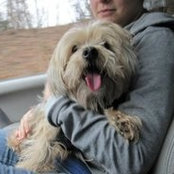 Brett Altmans foto