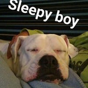 McGlensey Antonucci's photo