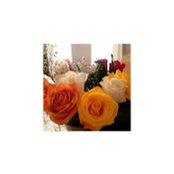 Ana Romana's photo
