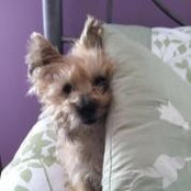 Ann Anderson's photo