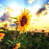 Janon Wright Johnson's photo