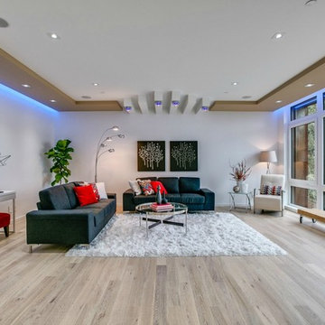 Stunning Modern and Sophisticated New Construction
