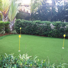 Backyard putting Green
