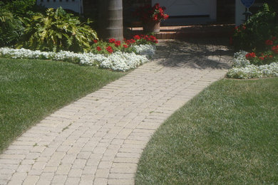 Design ideas for a mediterranean landscaping in San Diego.