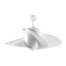 Ceiling fans