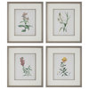 Uttermost Heirloom Blooms Study Framed prints 4-Piece Set