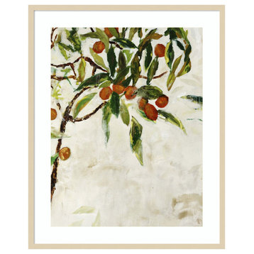 Kumquat Tree by Jodi Maas Framed Wall Art 33 x 41