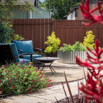 Backyard Circulation and Color