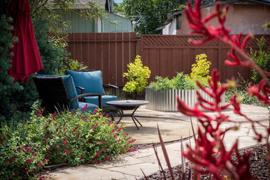 Backyard Circulation and Color