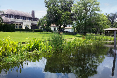 Photo of a contemporary landscaping in Orlando.