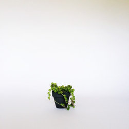 2" Classic Concrete Pot / Dark Gray - Indoor Pots And Planters