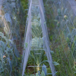 Lawn and Garden Cages - Products
