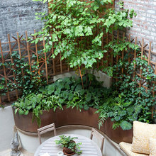 Corten