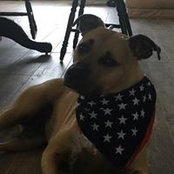 Jennifer Esposito's photo