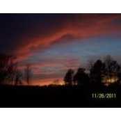 Janet Asmussen's photo