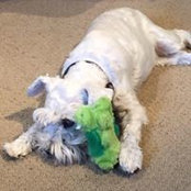 Jason Checkley's photo