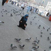 Menna M. El Alfy's photo