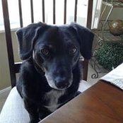 Belinda Eisele's photo