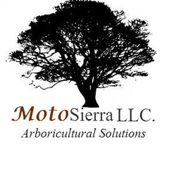 Motosierra LLC