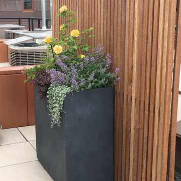 Cobble Hill Rooftop & Pergola