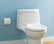 American Standard Champion 4 Elongatedone-Piece Toilet With Seat, White