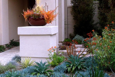 This is an example of a mediterranean landscaping in Orange County.