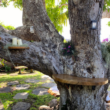 100 Year Old Tree Bench